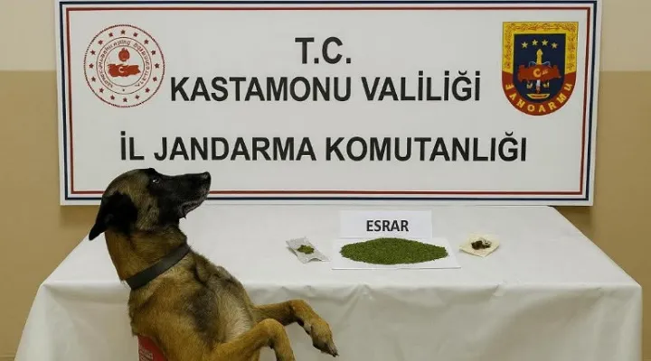 Kastamonu’da Narkotik Operasyonu: Bonzai ve esrar ele geçirildi