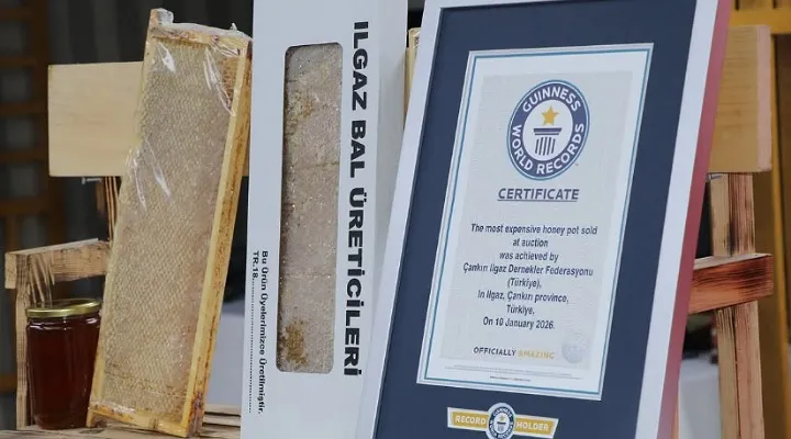 Ilgaz Balı Guinness Rekorlar Kitabı’na girdi