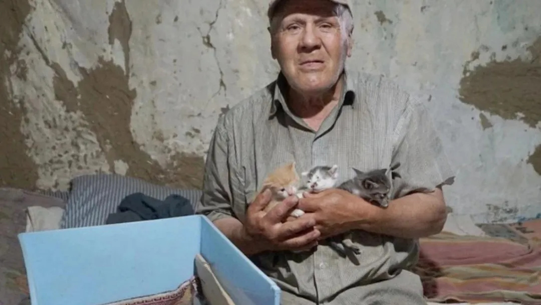 Ağlı’da “Kedilerin Babası” olarak tanınan Nazmi Özsoy hayatını kaybetti