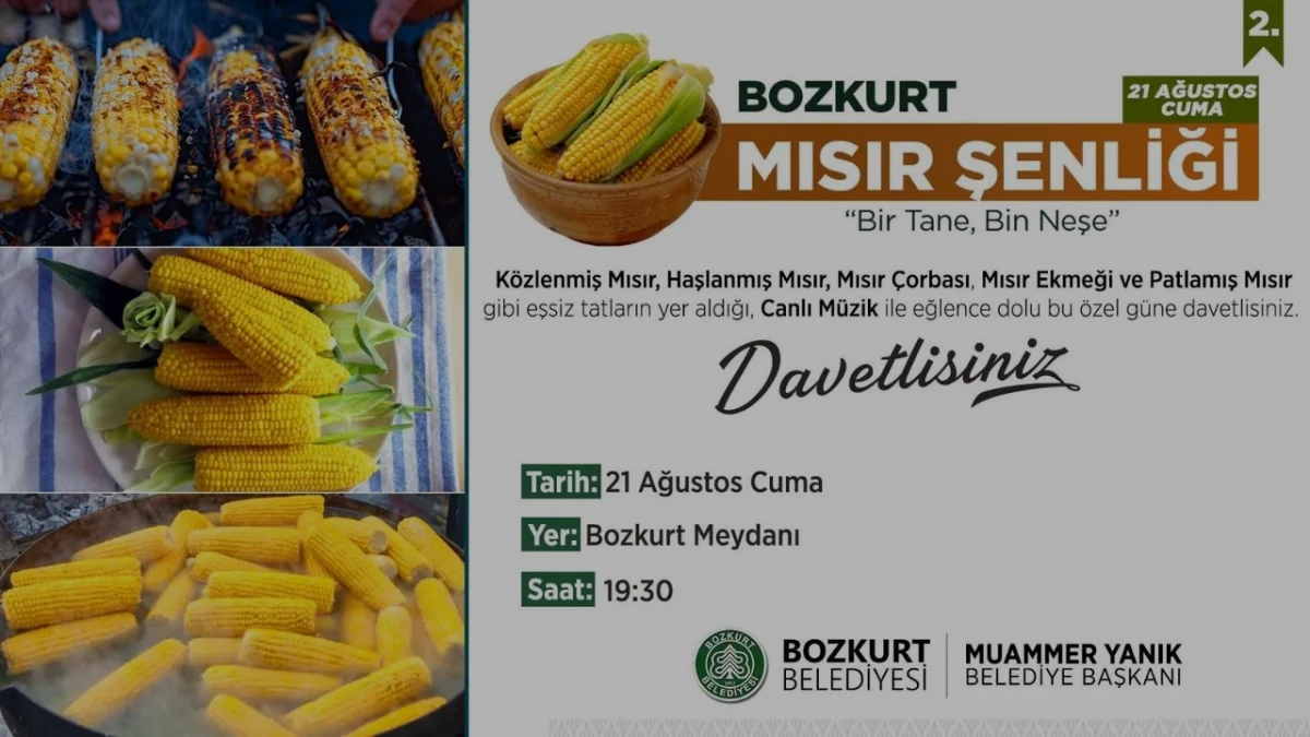 Bozkurt Mısır Şenliği 21 Ağustos Cuma Günü Başlıyor