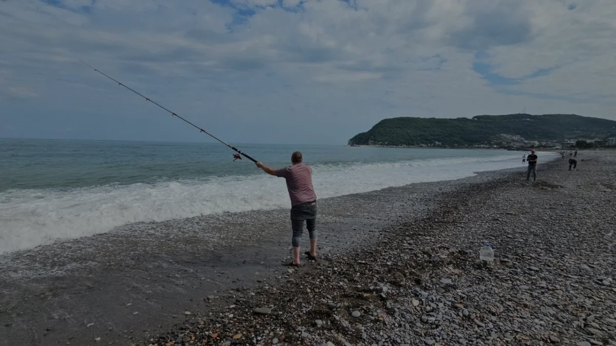 Cide sahillerinde istavrit bereketi