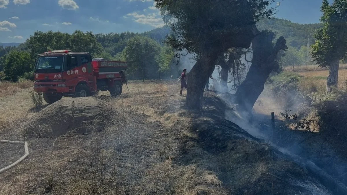 Hanönü ilçesinde çıkan anız yangını söndürüldü