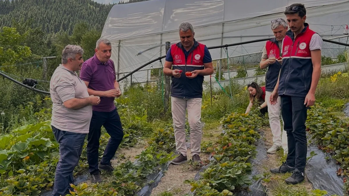 Küre’de Üreticiye Tarımsal Destek Programı