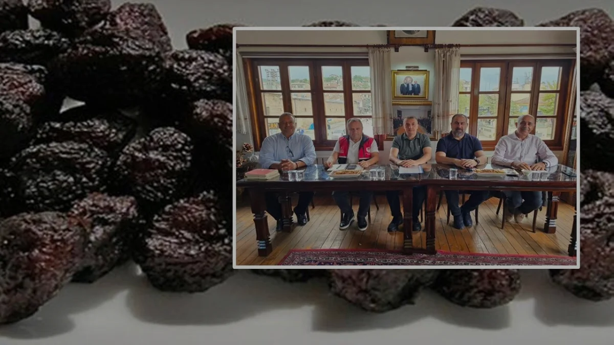 Kastamonu Üryani Eriği İçin Yeni Strateji Belirlendi