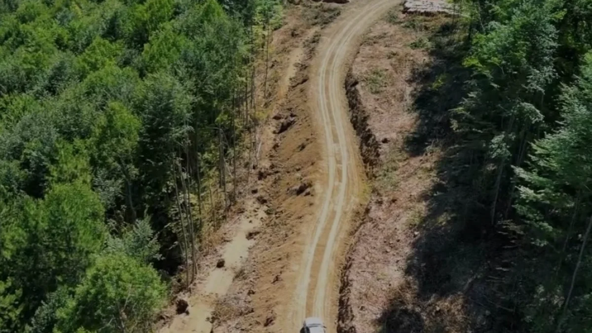 Pınarbaşı Orman İşletme Müdürlüğü 3 kilometrelik yeni yolu hizmete açtı