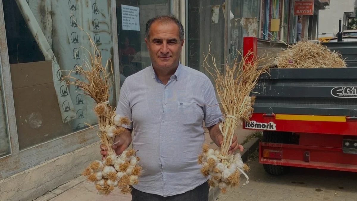 Taşköprü Sarımsağı’nda Yabancı Tohum Krizi ve Yeni Denetim Kararı