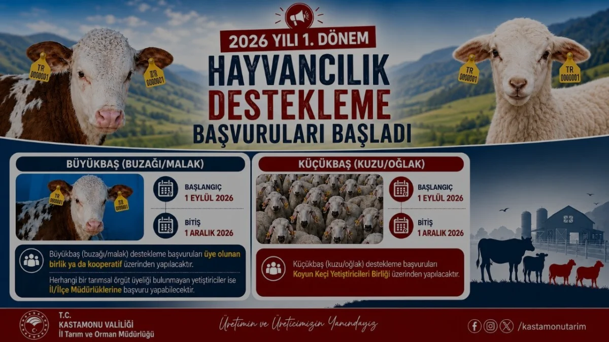 Kastamonu Hayvancılık Destekleme Başvuruları Başladı