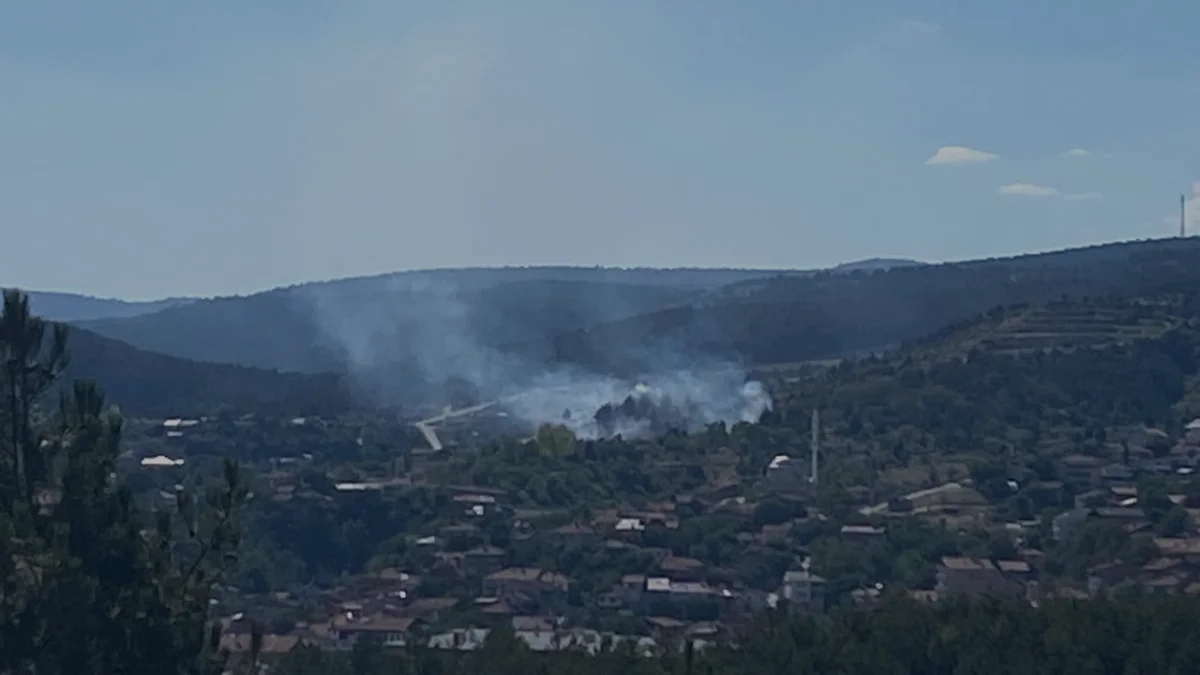 Kastamonu Okmeydanı Mezarlığında Yangın Paniği